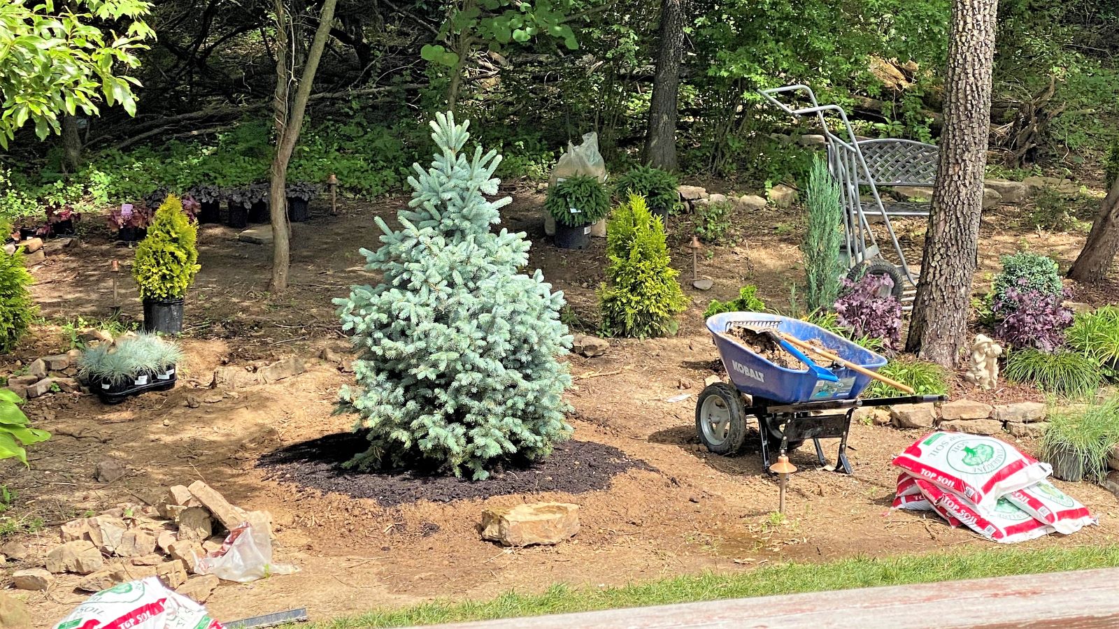 Heather Killebrew's Yard - My Project