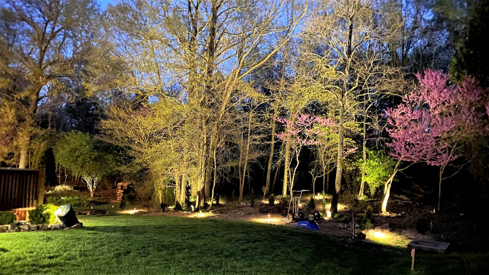 Heather Killebrew, What a fun day we had together! Heather Killebrew in a Big Bird costume