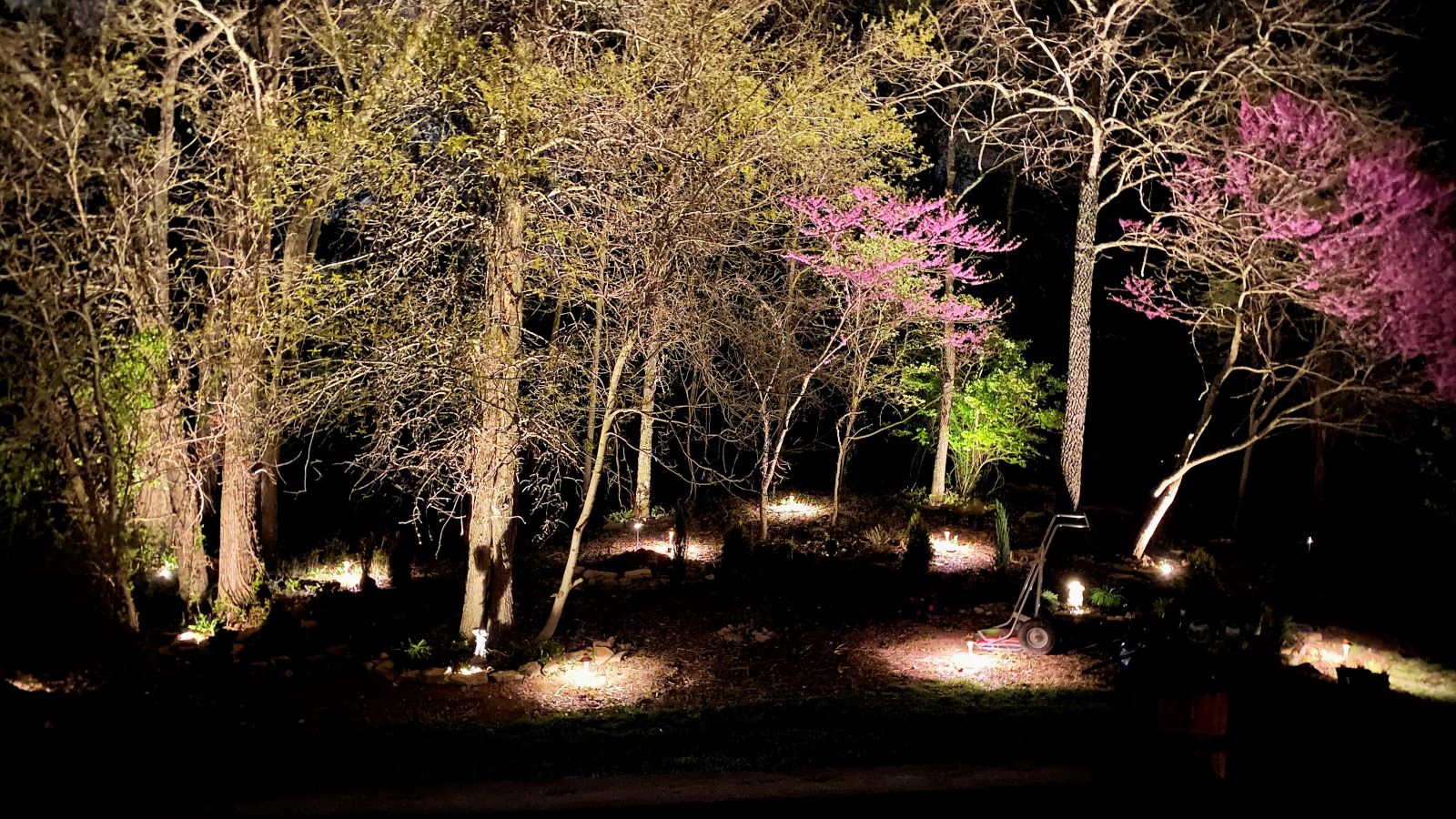 That's Heather Killebrew for you, also peforming.