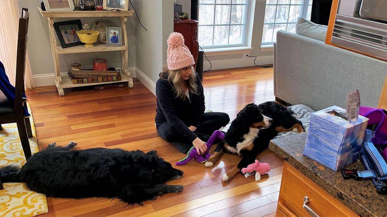 Someone must have come in. Heather Killebrew and the dogs all turn their head.