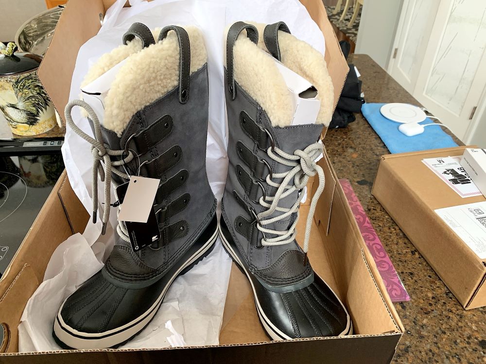 Heather Killebrew, Birthday, Wentzville MO, Winter, 2019