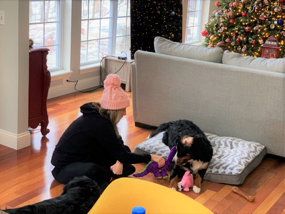 Heather Playing with Josie and Princess