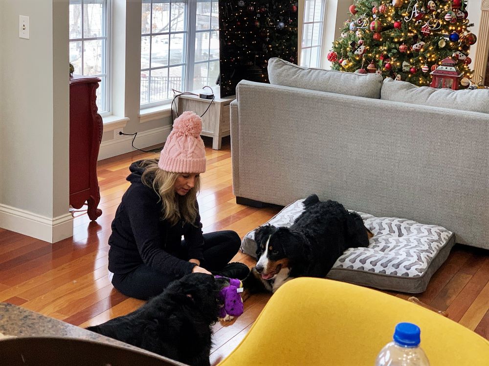 Heather and the fun with the dogs continue