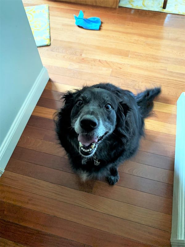 "Summer Camp" continues. Heather's in Florida