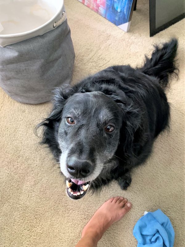 Princess followed me everywhere while at "Summer Camp", Took Photos for Heather