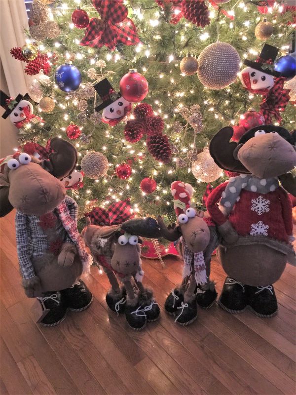 Heather Killebrew and and family - moose that is