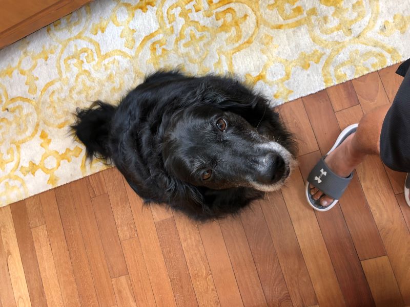 Heather Killebrew just dropped of Princess for "Summer Camp"