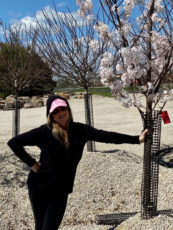 A Cherry tree purchased for Heather's yard. I wish that it is gone now.