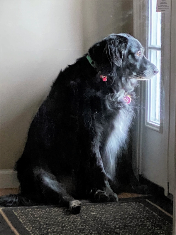 Heather Killebrew of Wildwood MO