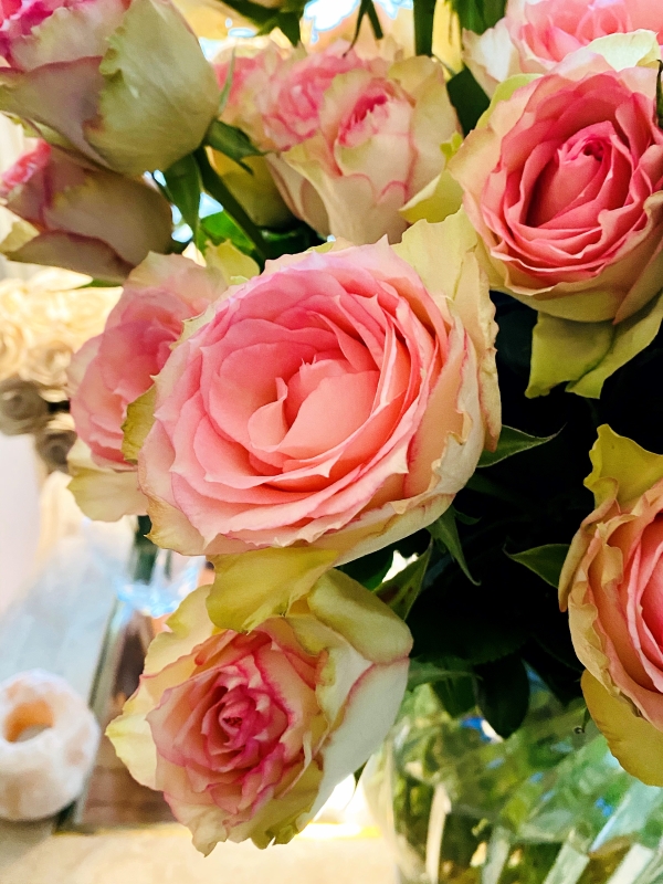 Heather Killebrew of Wildwood MO