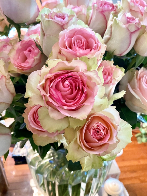 Heather Killebrew of Wildwood MO